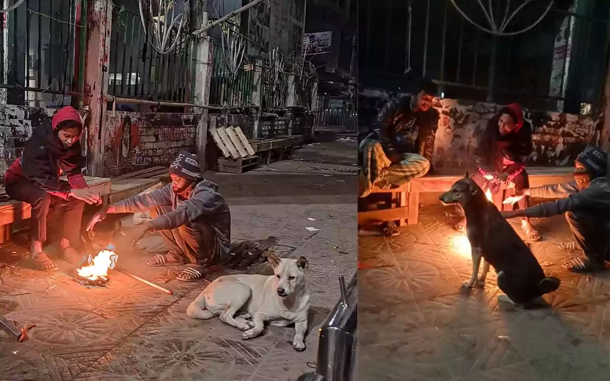 Rising Cumilla - Winter bd