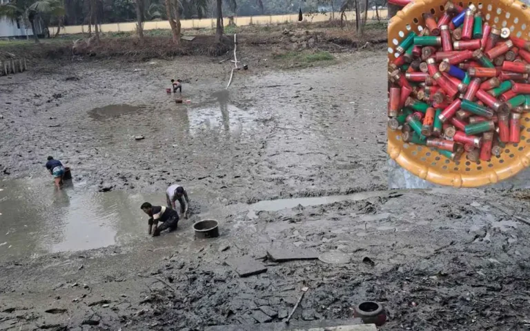 Rising Cumilla - 219 pieces of bullets recovered from Daganbhuiyan Thana pond in Feni