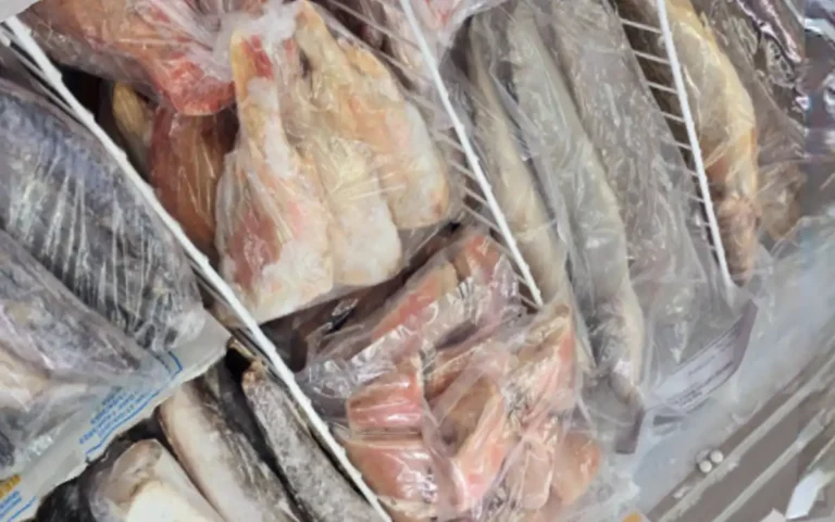 Rising Cumilla - How long is it safe to keep fish in the refrigerator- Find out the details.