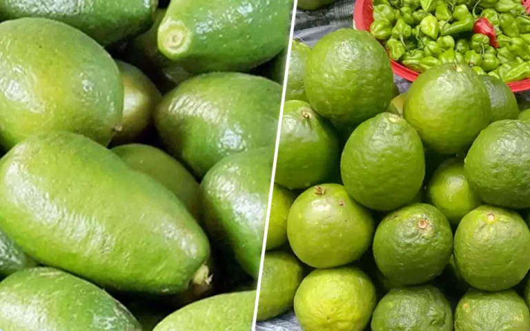 Rising Cumilla - Lemon