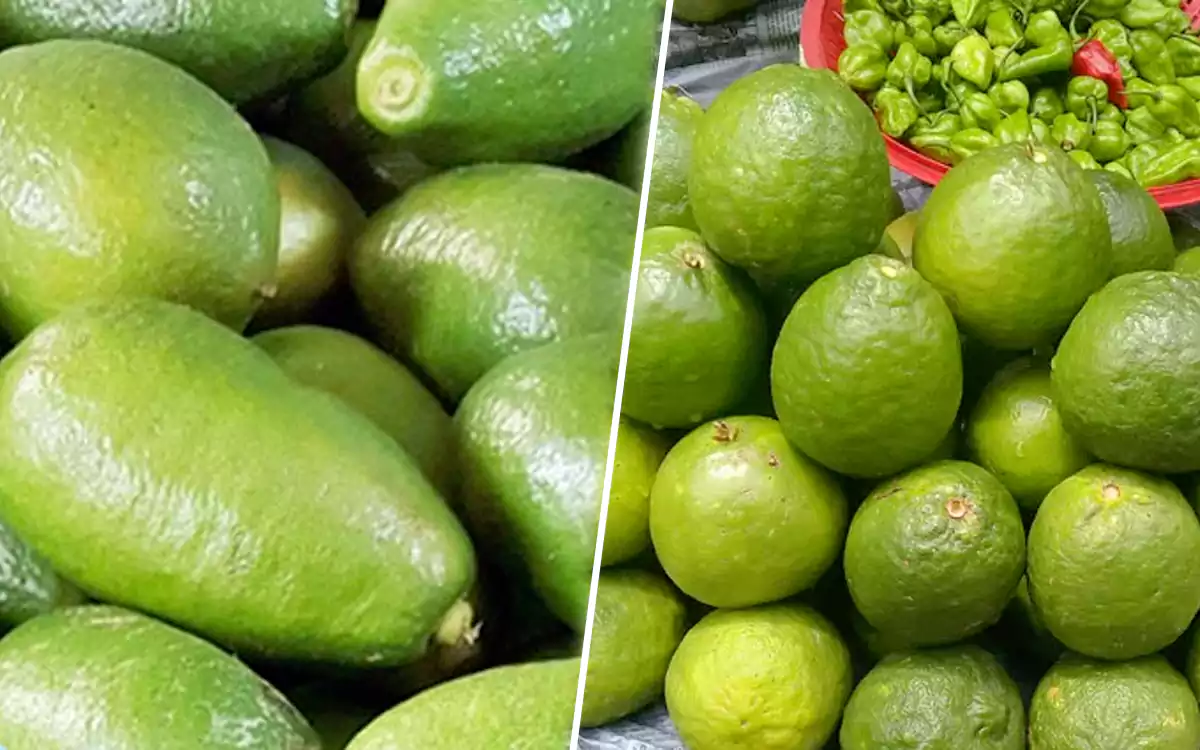 Rising Cumilla - Lemon