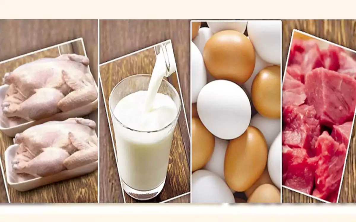 Rising Cumilla - Milk, eggs, beef and broiler