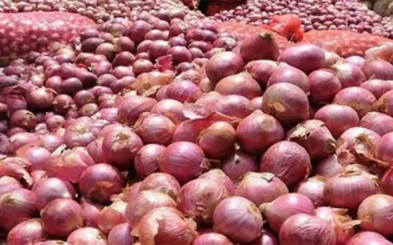 Rising Cumilla - Onion prices increased in the market on the first day of Ramadan, increasing by 10-15 taka per kg