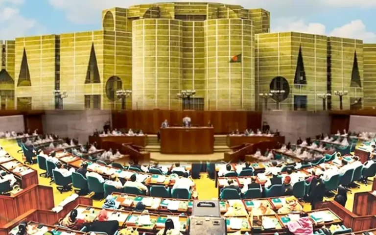 Rising Cumilla - parliament