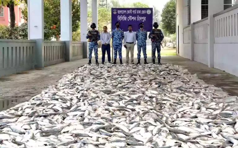 Rising Cumilla - 10 fishermen sentenced to prison for catching jatka in Chandpur, confiscated fish distributed to orphanages and needy people