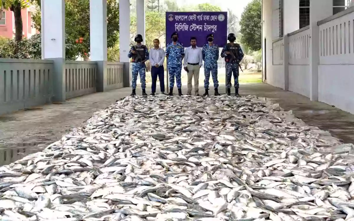 Rising Cumilla - 10 fishermen sentenced to prison for catching jatka in Chandpur, confiscated fish distributed to orphanages and needy people