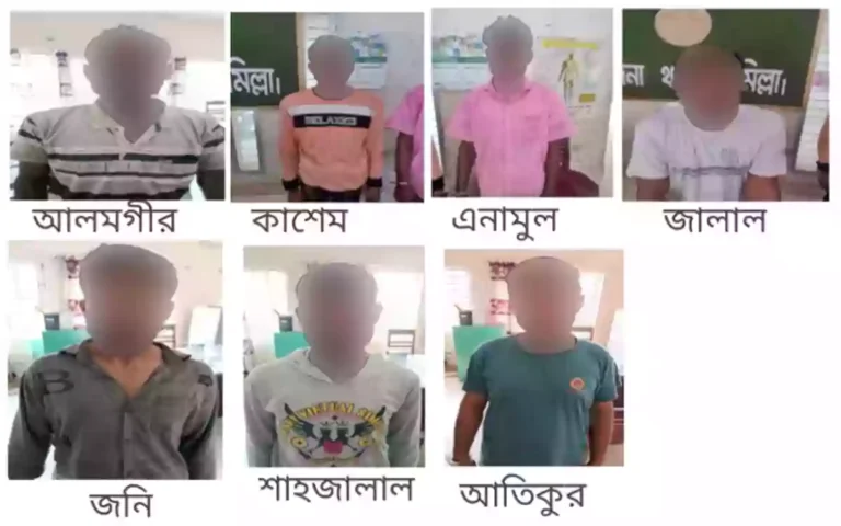 Rising Cumilla - 7 arrested, including drug dealer sentenced to 5 years in prison, in police raid in Comilla's Chandina