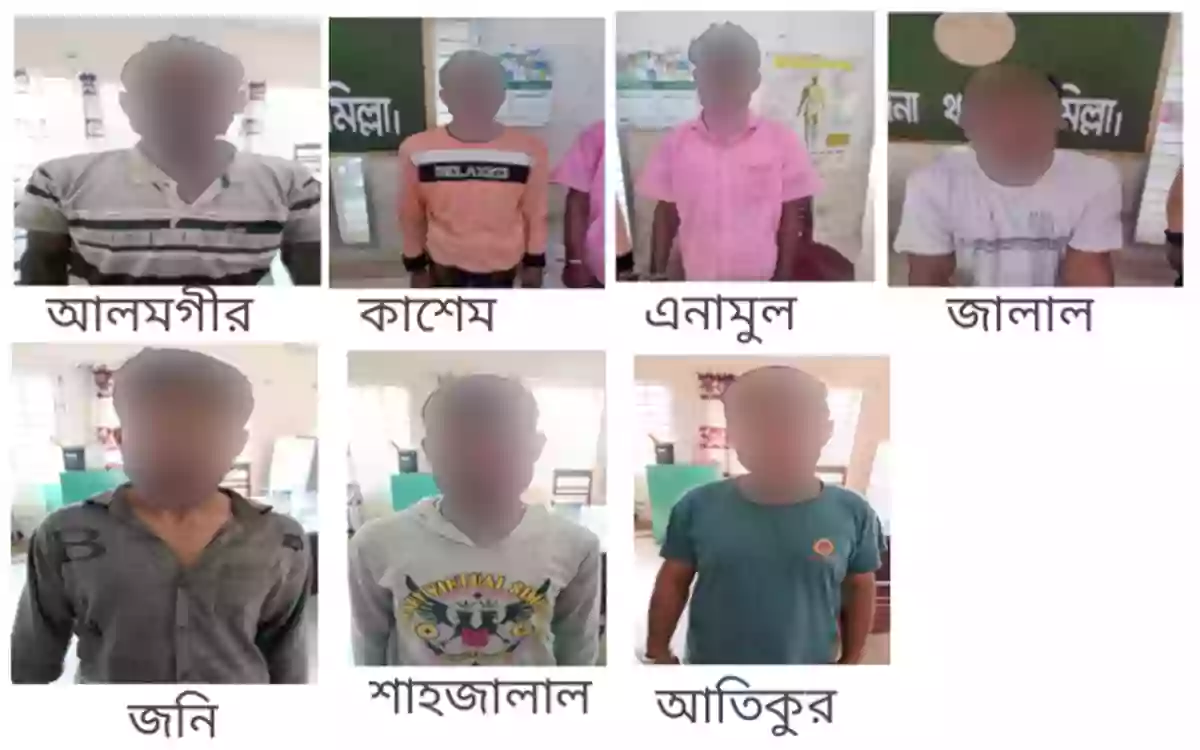 Rising Cumilla - 7 arrested, including drug dealer sentenced to 5 years in prison, in police raid in Comilla's Chandina
