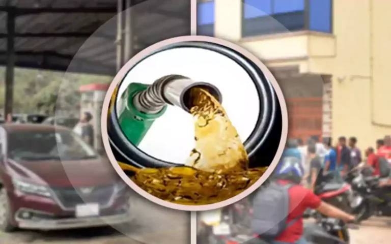 Rising Cumilla - oil