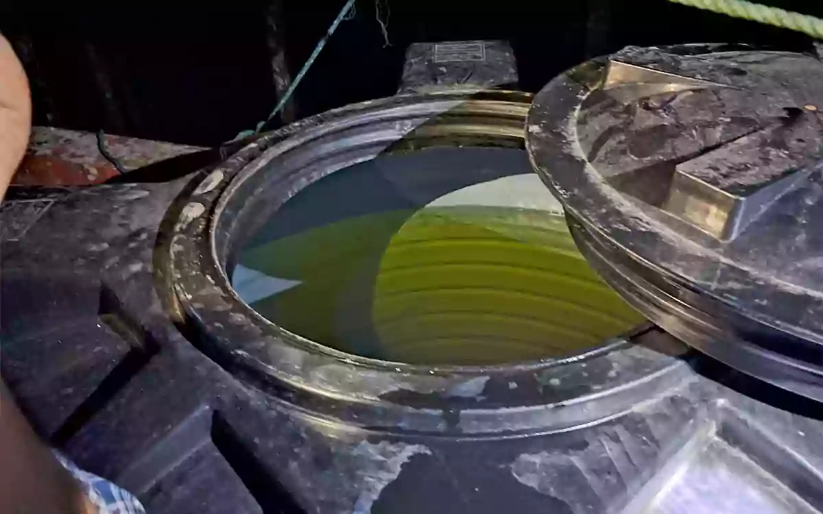 Rising Cumilla - Diesel stored in roof water tank of house in Noakhali, 750 liters seized