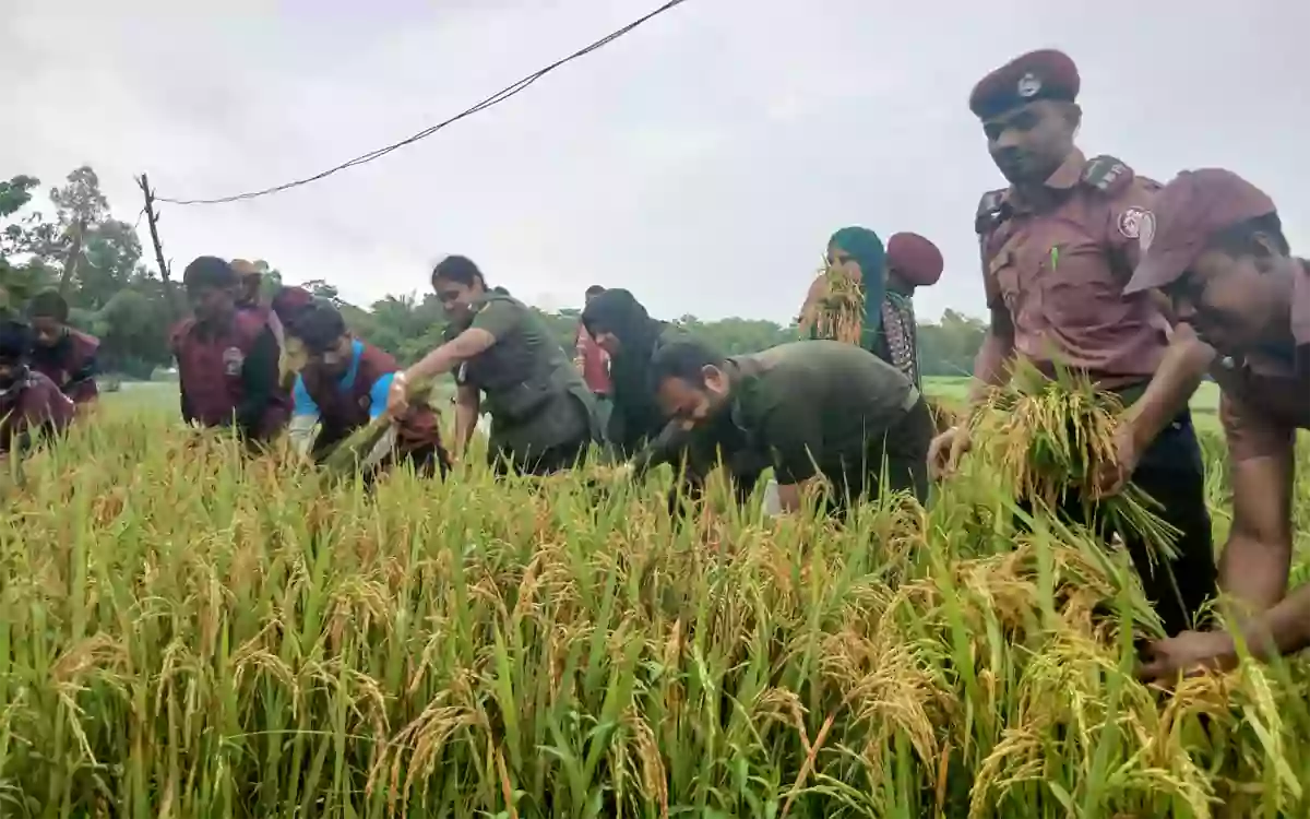 Rising Cumilla - Flood fears in Haor, Ansar VDP members come forward to help farmers in their difficult times