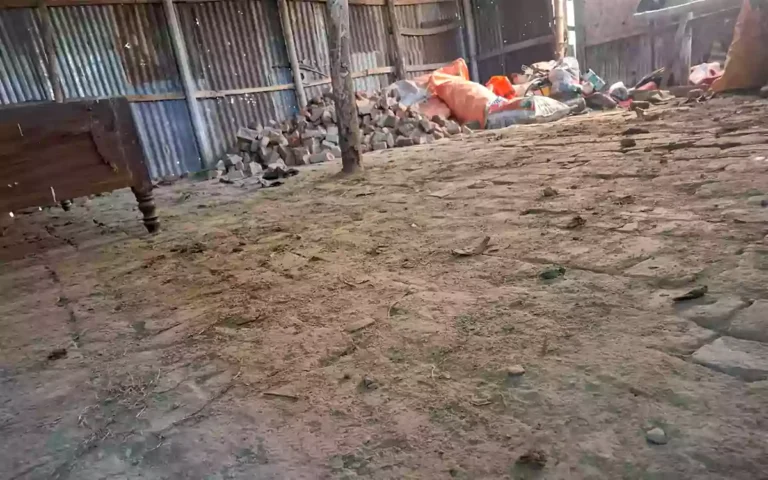 Rising Cumilla - Jubo Dal leader accused of embezzling government road bricks in Companiganj