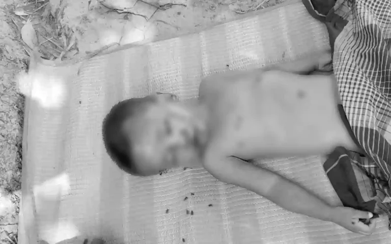 হবিগঞ্জের বাহুবলে ট্রাকচাপায় দেড় বছরের শিশু নিহত