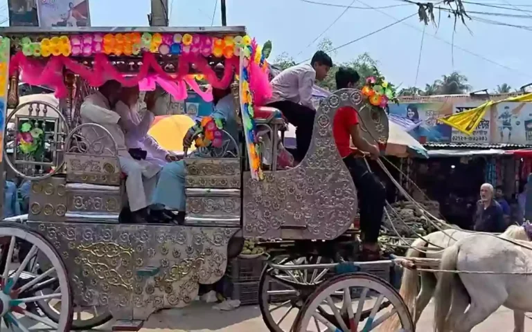 লক্ষ্মীপুরে মসজিদের খাদেমকে ঘোড়ার গাড়িতে রাজকীয় বিদায়