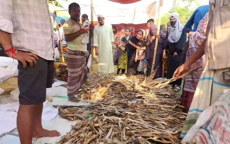 Rising Cumilla - Three hundred year old dried bunny from Kulikunda