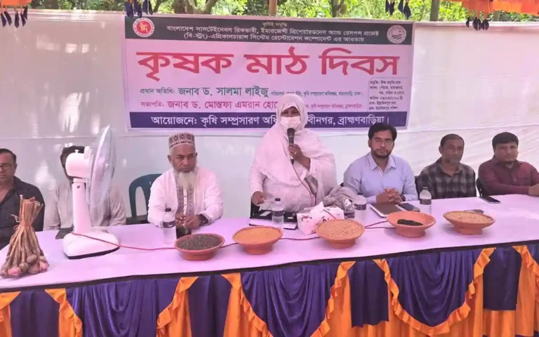 নবীনগরে ‘বি স্ট্রং’ প্রকল্পের বীজ প্রযুক্তি গ্রাম মাঠ দিবস অনুষ্ঠিত
