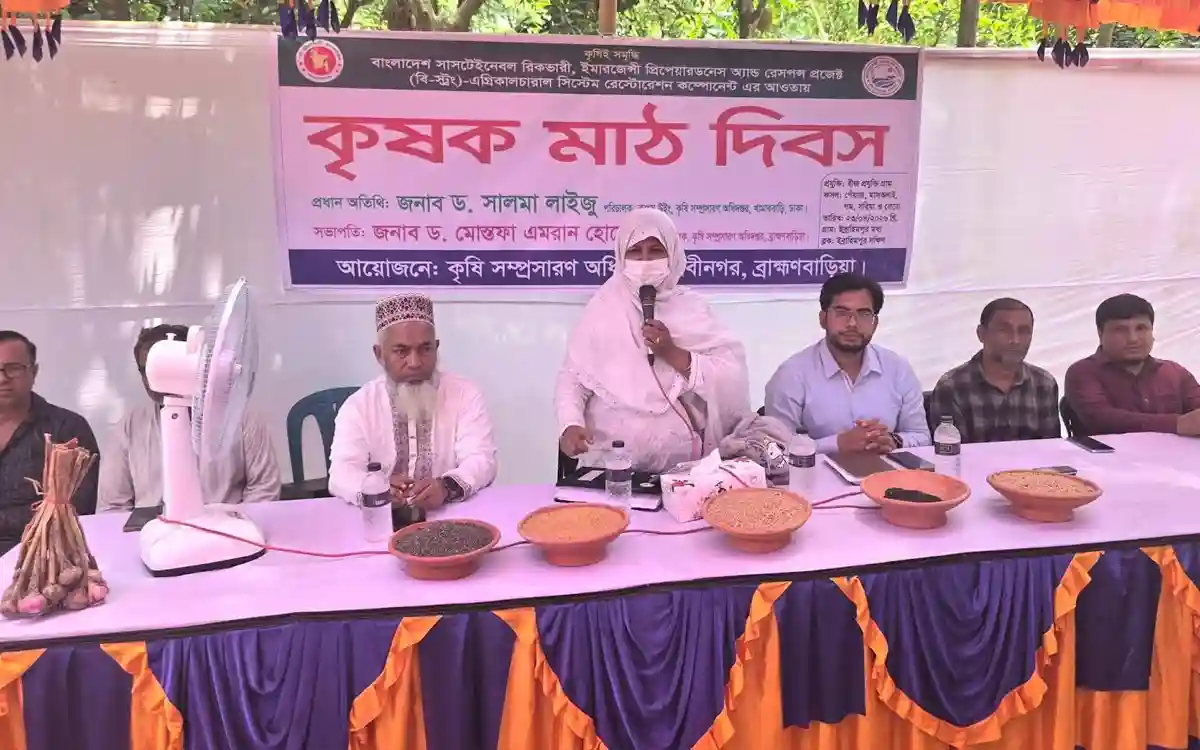 নবীনগরে ‘বি স্ট্রং’ প্রকল্পের বীজ প্রযুক্তি গ্রাম মাঠ দিবস অনুষ্ঠিত