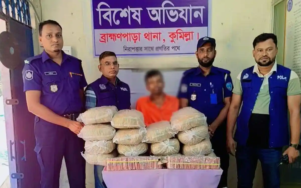 ব্রাহ্মণপাড়ায় ৩০ কেজি গাঁজা ও ভারতীয় আতশবাজিসহ আটক ১