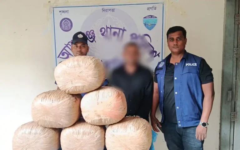 আশুগঞ্জে দুই অভিযানে ২১০ কেজি গাঁজা উদ্ধার, আটক ১