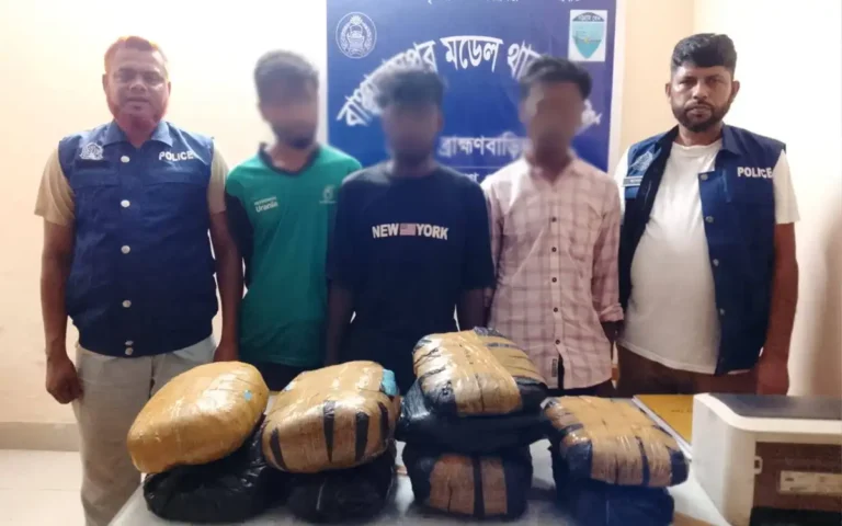 বাঞ্ছারামপুরে ১১ কেজি ৫০০ গ্রাম গাঁজাসহ আটক ৩ মাদক কারবারি