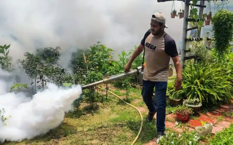 ডেঙ্গু প্রতিরোধে কুমিল্লা নগরীর একাধিক ওয়ার্ডে মশক নিধন কার্যক্রম পরিচালনা