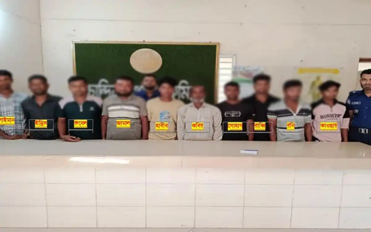 চান্দিনায় পুলিশের বিশেষ অভিযান: পর্নোগ্রাফি কারবারি ও চোরসহ গ্রেফতার ১০