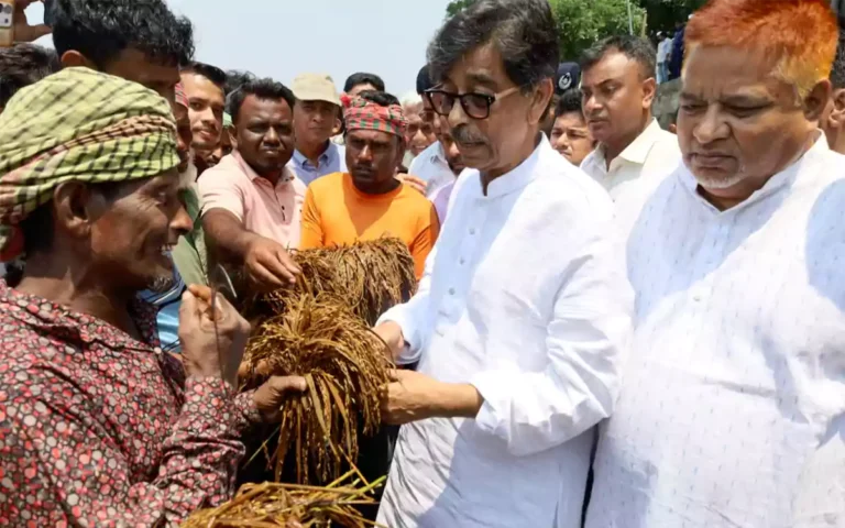 Rising Cumilla - Agriculture Minister inquires about farmers affected by floods and heavy rains in Brahmanbaria's Medir Haor