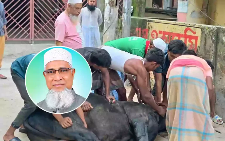 Rising Cumilla - Deen Mohammad distributed sacrificial meat to 300 underprivileged families
