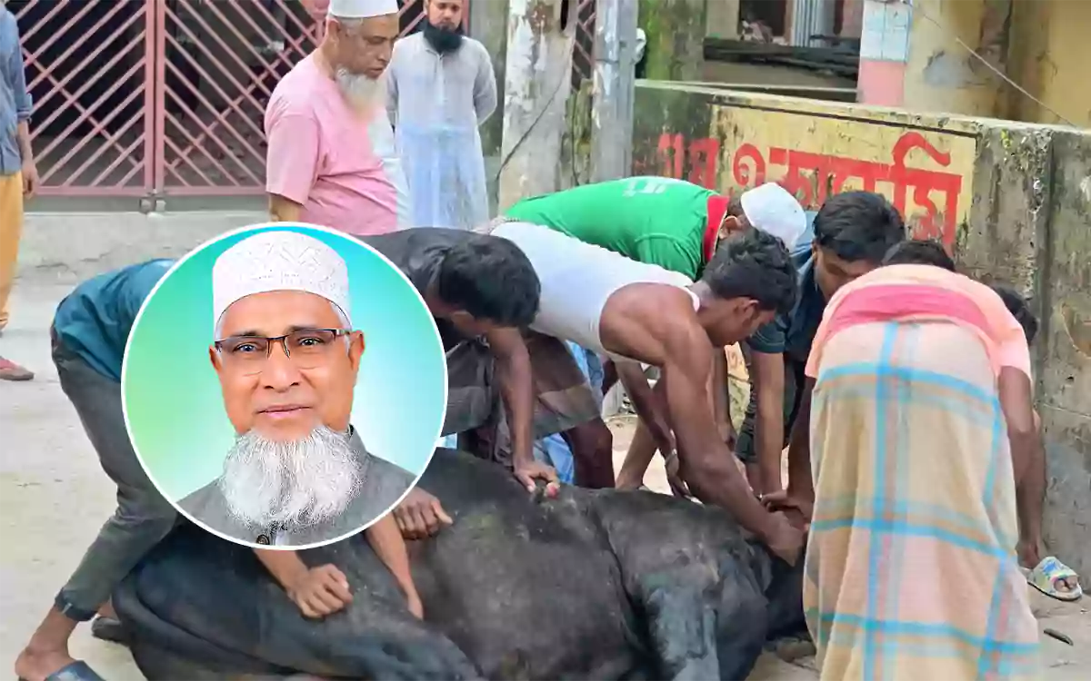 Rising Cumilla - Deen Mohammad distributed sacrificial meat to 300 underprivileged families
