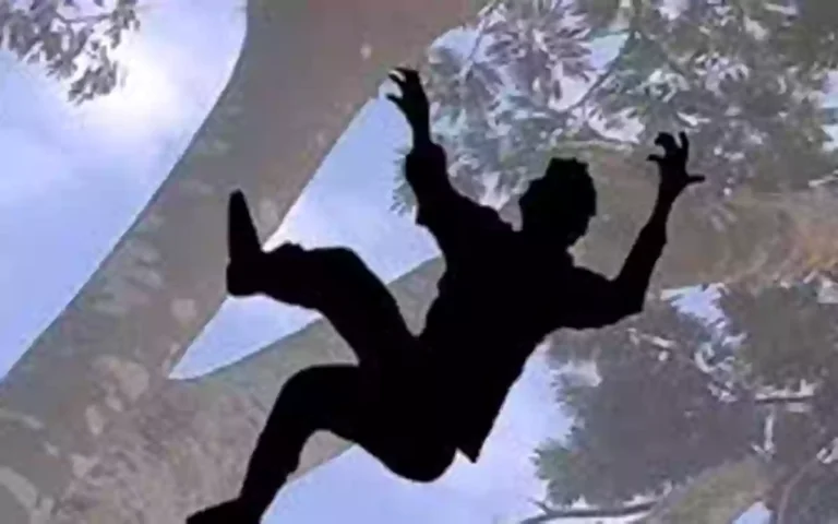 Rising Cumilla - Elderly woman dies after falling from mango tree