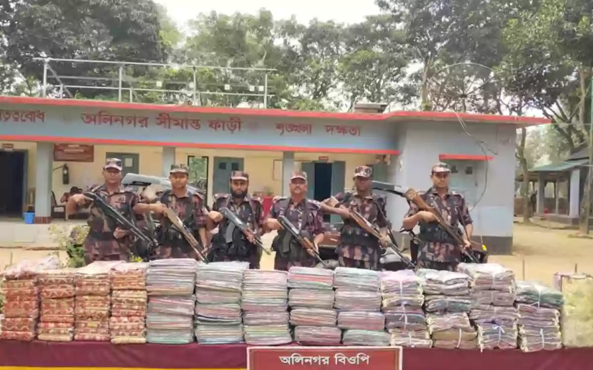 Rising Cumilla - Indian sarees worth Tk 6.2 million seized at Feni border