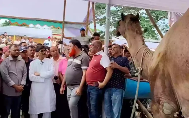 Rising Cumilla - Sacrificial animals are a major source of income for marginal farmers- Livestock Minister at Neura Hat in Comilla