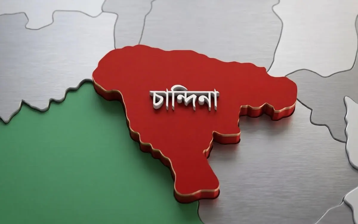 চান্দিনায় স্বামীকে আটকে রেখে স্ত্রীকে গণধর্ষণ; আটক ৪