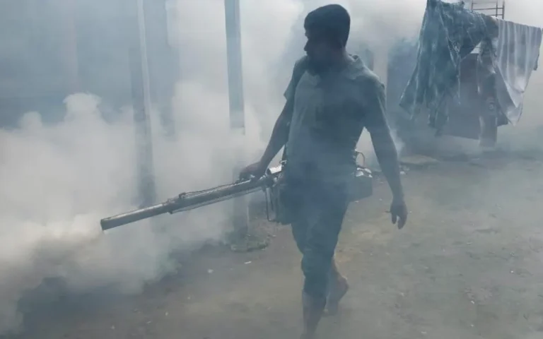 ডেঙ্গুর বিস্তার ঠেকাতে নগরীর একাধিক এলাকায় মশক নিধন কার্যক্রম পরিচালনা