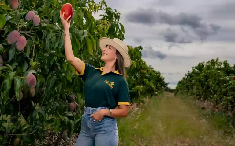 Rising Cumilla - mango