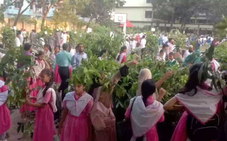RisingCumilla - Tree plantation to be held simultaneously tomorrow at approximately 30,000 educational institutions across the country.