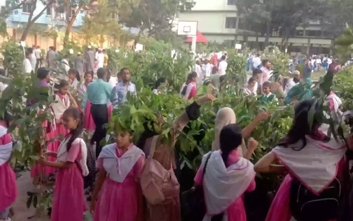 RisingCumilla - Tree plantation to be held simultaneously tomorrow at approximately 30,000 educational institutions across the country.