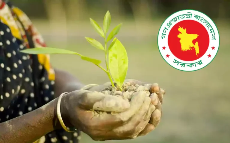 RisingCumilla - tree plantation in bangladesh