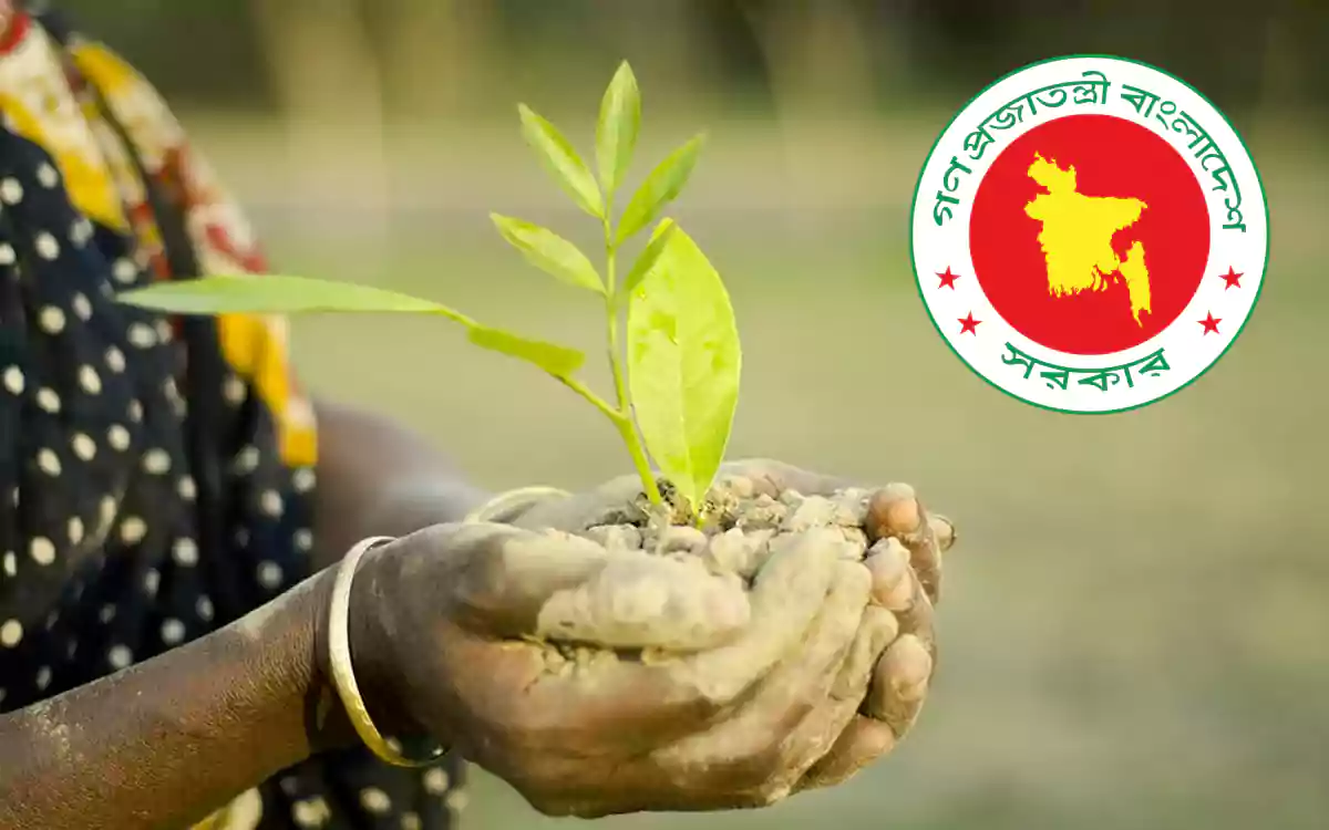 RisingCumilla - tree plantation in bangladesh