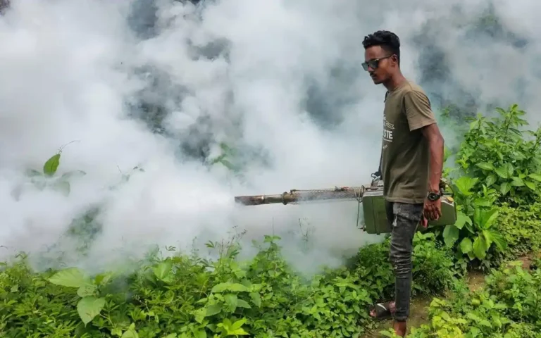 ডেঙ্গু মোকাবিলায় কুমিল্লা সিটির বিভিন্ন এলাকায় বিশেষ মশক নিধন অভিযান