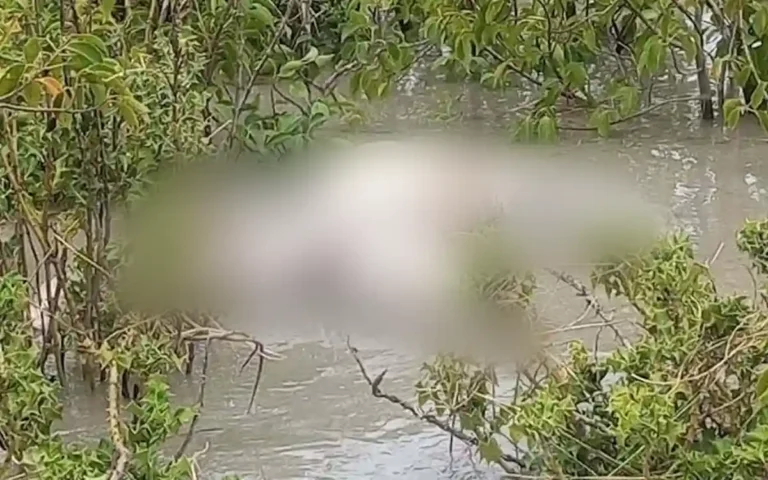হাতিয়াতে জোয়ারে ভেসে আসা মরদেহ পড়ে রইল কেওড়া বাগানে