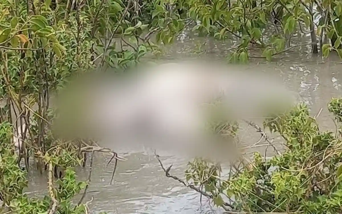 হাতিয়াতে জোয়ারে ভেসে আসা মরদেহ পড়ে রইল কেওড়া বাগানে