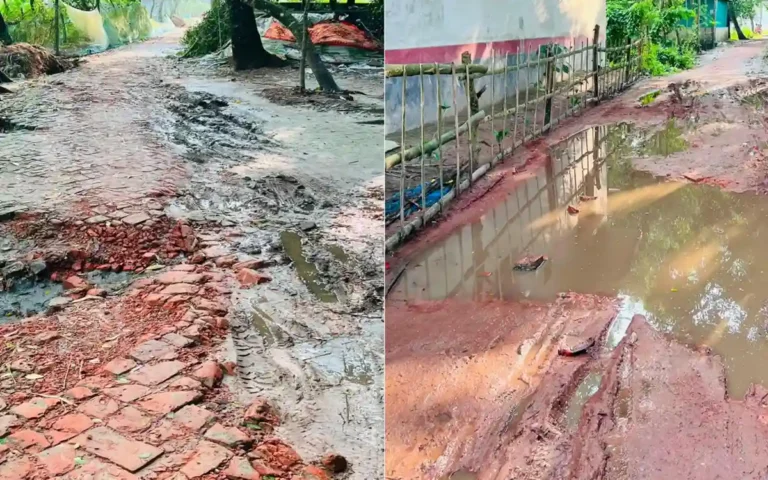 ‎​অবহেলার চরম সীমায় ব্রাহ্মণপাড়া রাস্তা: একটু বৃষ্টিতেই চলাচলের অনুপযোগী, দুর্ভোগে হাজারো মানুষ