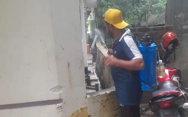 ডেঙ্গু প্রতিরোধে কুমিল্লা নগরীর বিভিন্ন এলাকায় লার্ভাসাইড প্রয়োগ ও পরিচ্ছন্নতা অভিযান