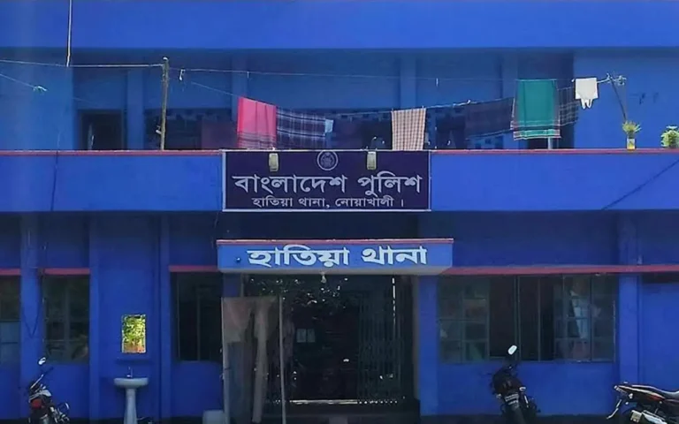 হাতিয়ার নিঝুমদ্বীপে জলাবদ্ধতায় ঘরেই নবজাতকসহ প্রসূতির মৃত্যু