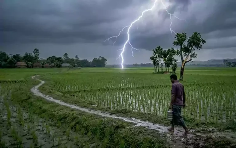 RisingCumilla - Deaths due to lightning strikes