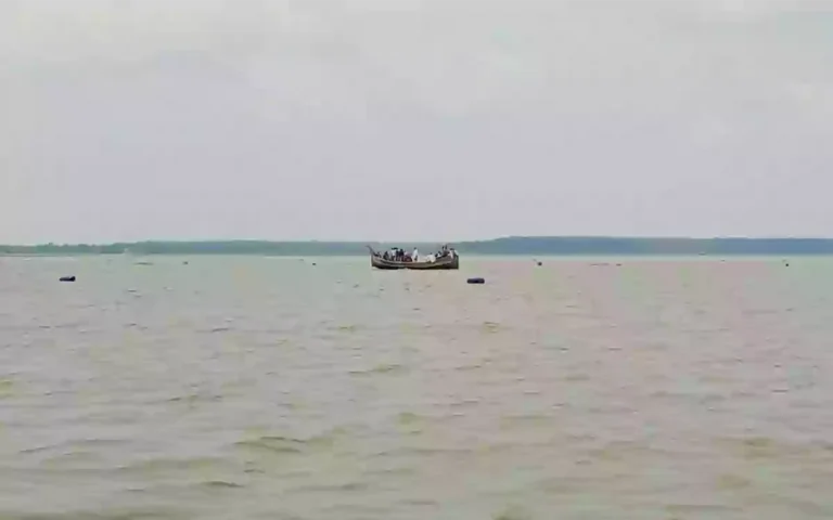 RisingCumilla - Fisherman dies while fishing in the Meghna River.