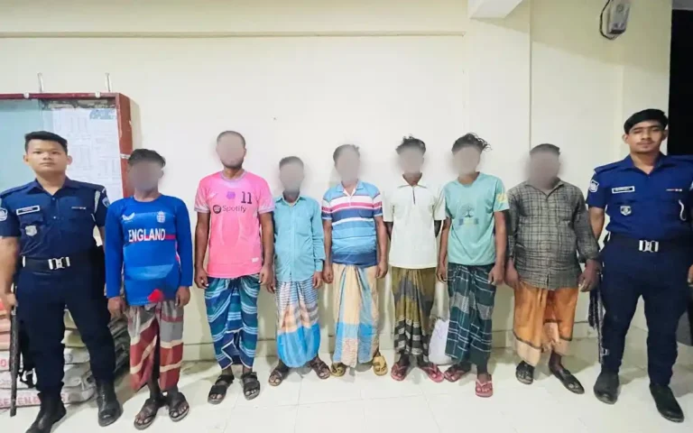 সরাইলে মেঘনা নদী থেকে বালু উত্তোলন, ইউএনও'র অভিযানে ৭ জনের কারাদণ্ড