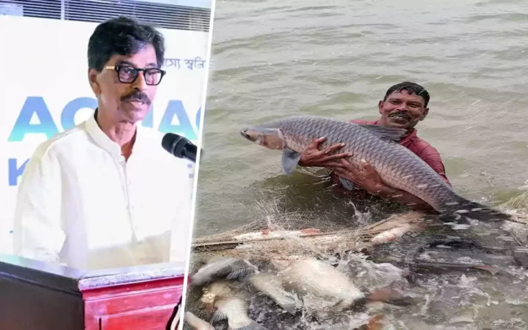 Rising Cumilla- Fish production must be increased, but there can be no compromise on quality