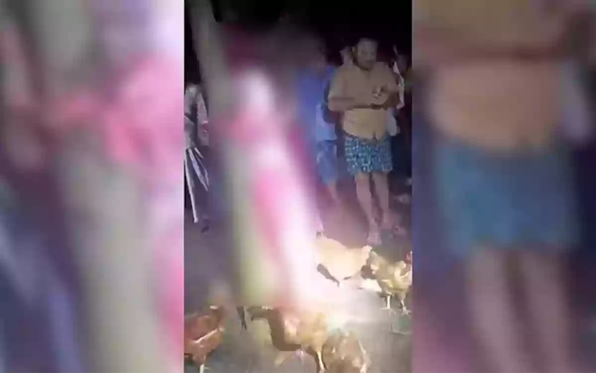 RisingCumilla - Expats wife tortured after being tied to a tree over chicken theft accusation